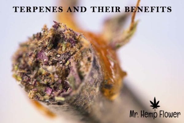 Benefits of Terpenes