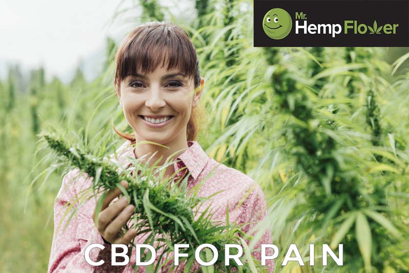 CBD For Pain