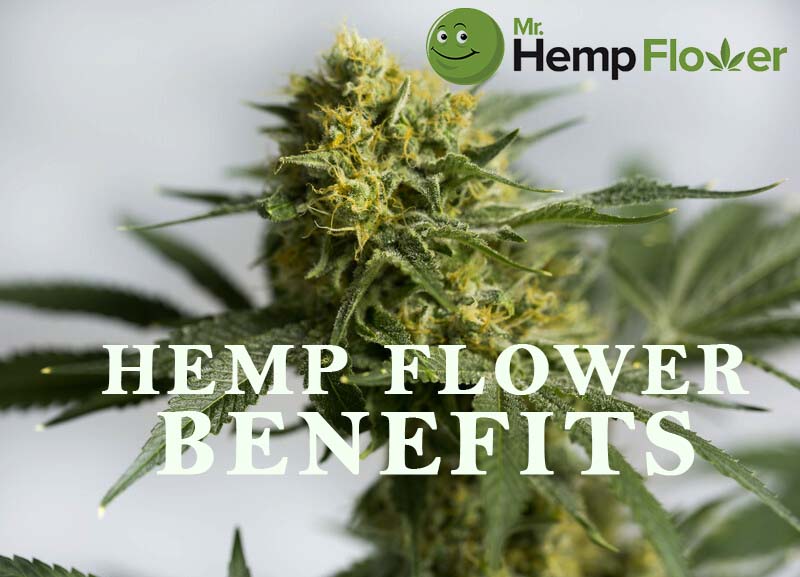 Hemp Flower Buds - How to use CBD Hemp ...absolutenaturecbd.com