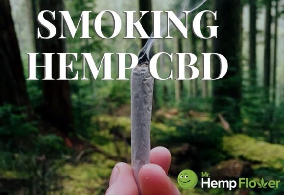 smoking hemp