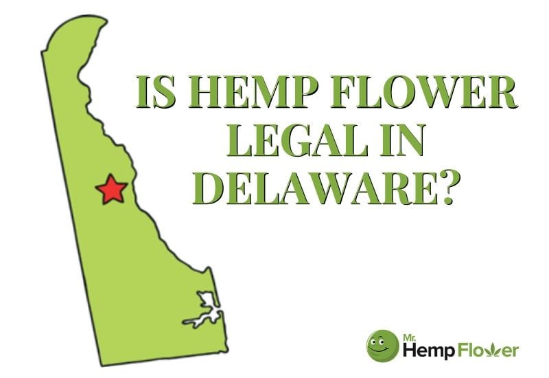 Hemp Flower Delaware State Laws