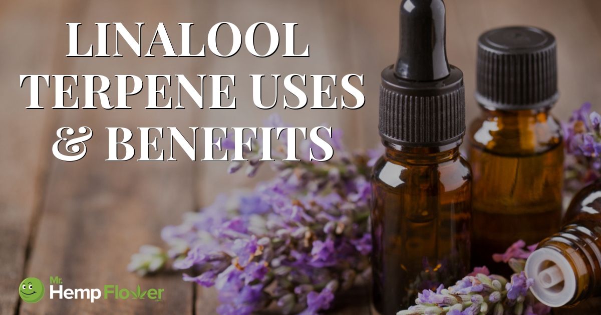 What Is Linalool and Why You Should Look For It In Your Hemp Flower