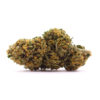Suzy A Hemp Flower