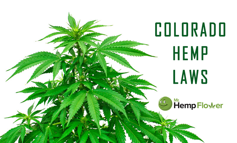 Colorado Hemp Laws