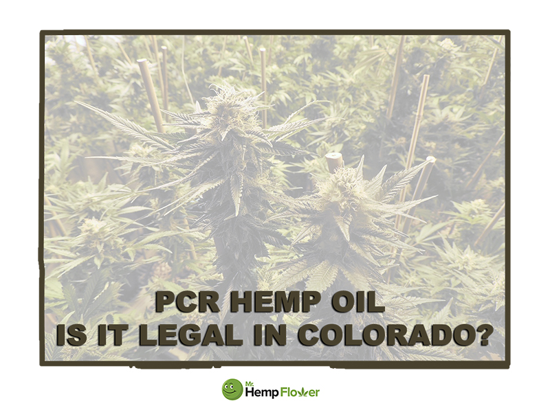 CBD oil Colorado