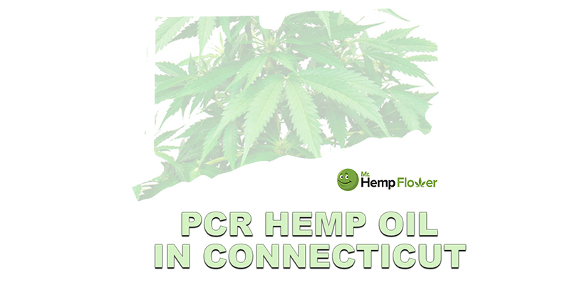 Full Spectrum CBD Oil Connecticut