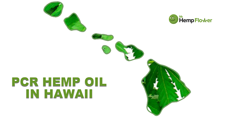 CBD Oil in Hawaii