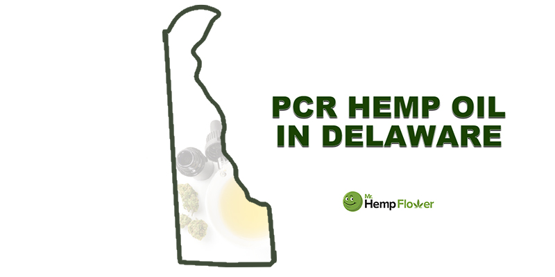 CBD Oil in Delaware feature