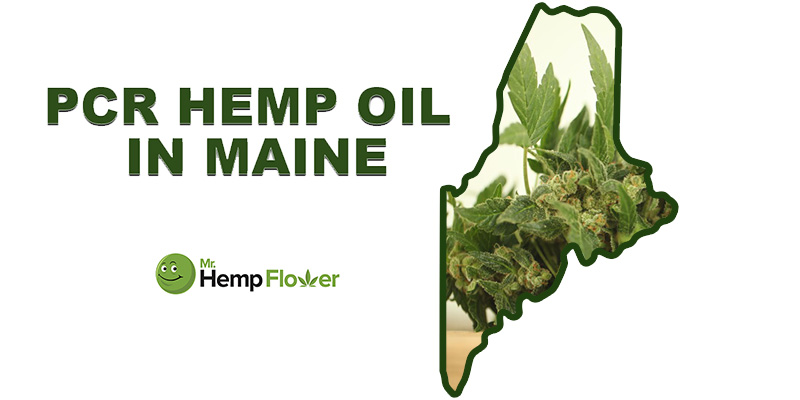 cbd laws in maine