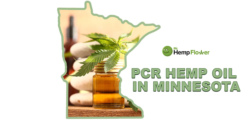 CBD oil in Minnesota