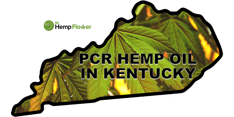 Full Spectrum CBD Oil Kentucky