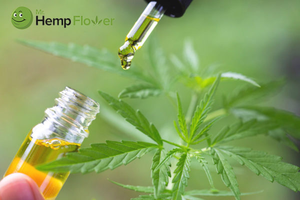 pcr hemp oil louisiana