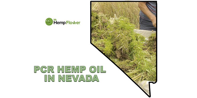 Full Spectrum CBD Oil Nebraska