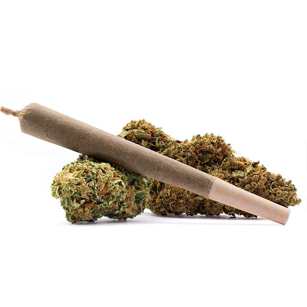 Wu5 preroll hemp flower cbd