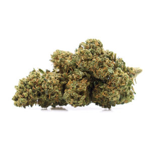 Cheese Hemp Flower
