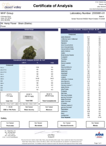Elektra strain review