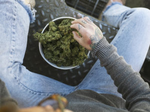 CBD Hemp Flower Washington