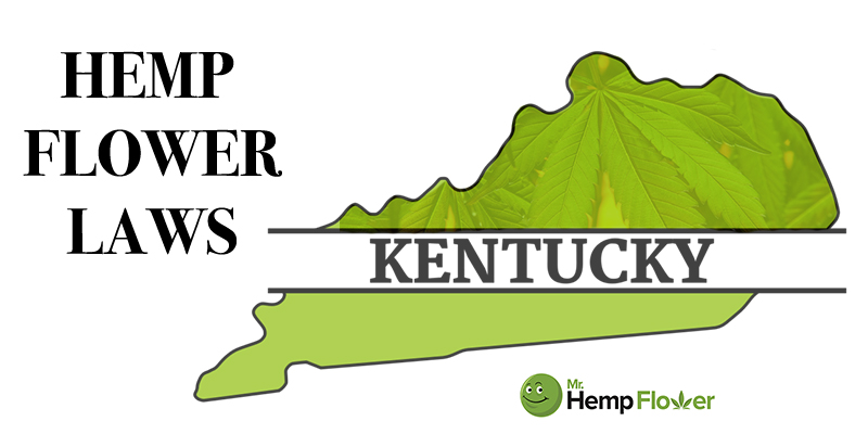 Kentucky Hemp Flower Laws