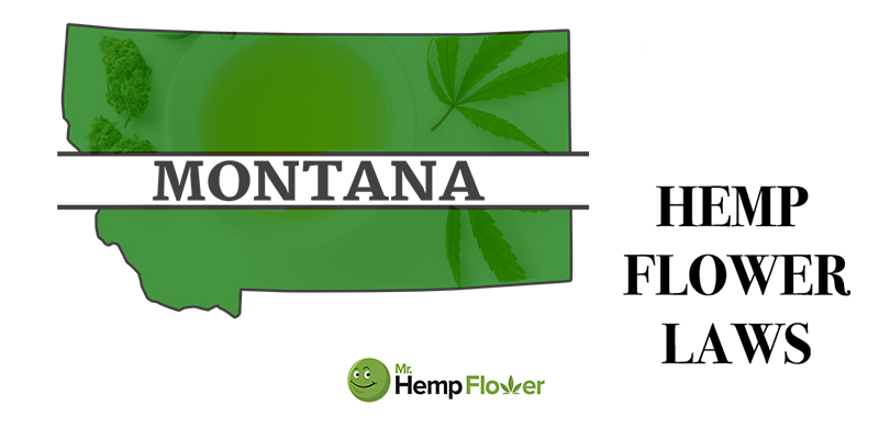 Montana Hemp Flower Law