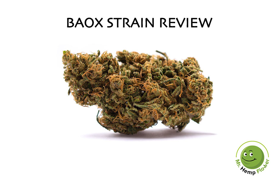 Baox Strain Review
