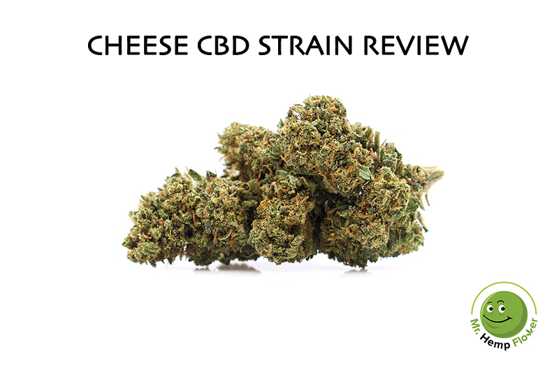 Cheese Strain Review
