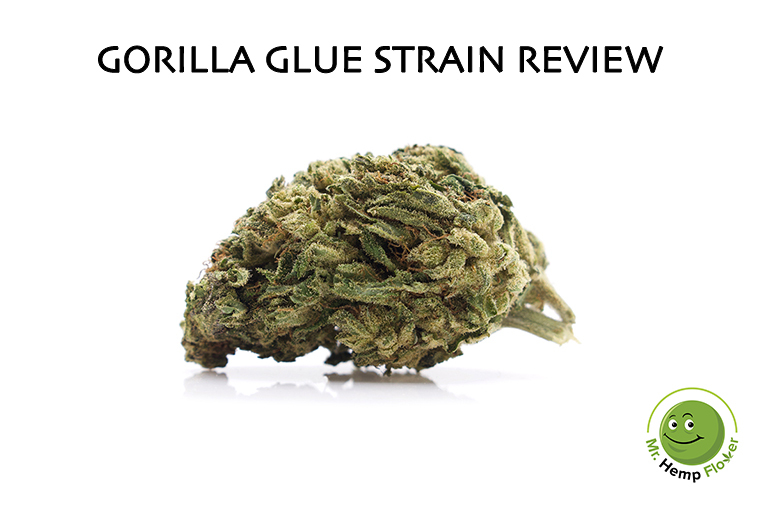Gorilla Glue #4 High THCa Hemp Flower by Perfect Plant Market