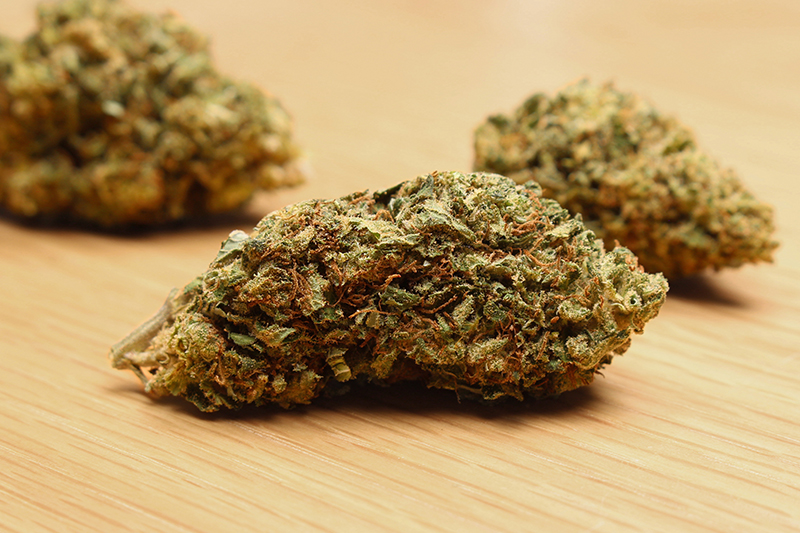 Ceiba Strain Review