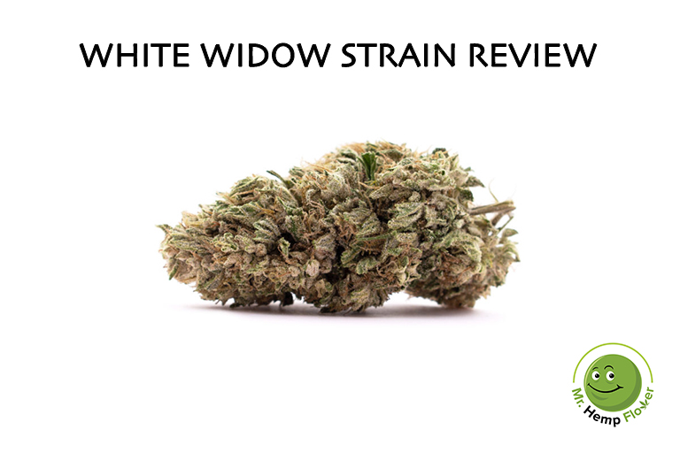 White Widow Hemp Strain Review