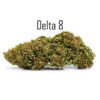 Elektra Delta 8