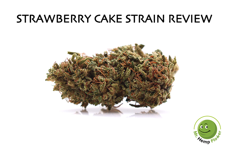 Strawberry Cake Hemp Strain Review