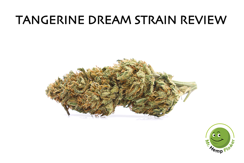 Tangerine Dream Review See What Is This Hemp Flower Like Here