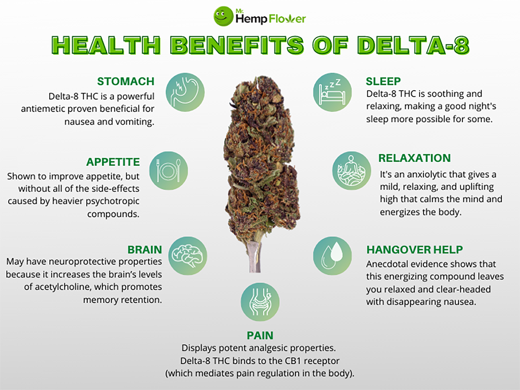 Delta 8  eden nc - Gummies|Products|Delta|Hemp|Brands|Brand|Thc|Product|Effects|Quality|Cbd|People|Customers|Edibles|Flavors|Market|List|Customer|Diamond|Gummy|Companies|Lab|Delta-8|Vape|Reviews|Time|Side|Users|Experience|Plants|Shipping|Source|Cannabinoids|Potency|Research|Policies|Budpop|Flowers|Process|Offers|Delta-8 Gummies|Diamond Cbd|Thc Products|Delta-9 Thc|Side Effects|Vape Carts|Hemp Plants|Delta-8 Products|Wide Range|Free Shipping|Third-Party Labs|Delta-8 Thc|Red Eyes|Many People|Delta-8 Effects|Drug Test|Repeat Purchases|Exhale Wellness|Hemp Industry|Delta-8 Extract|Hemp Extract|Marijuana Plants|Artificial Flavors|Many States|Lab Reports|Good Idea|Third-Party Lab|Gummy Edibles|Natural Flavors|Harmful Additives