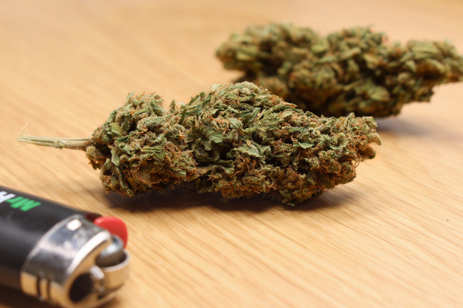 Northern Lights NLX Review Learn About This Powerful Hemp Strain