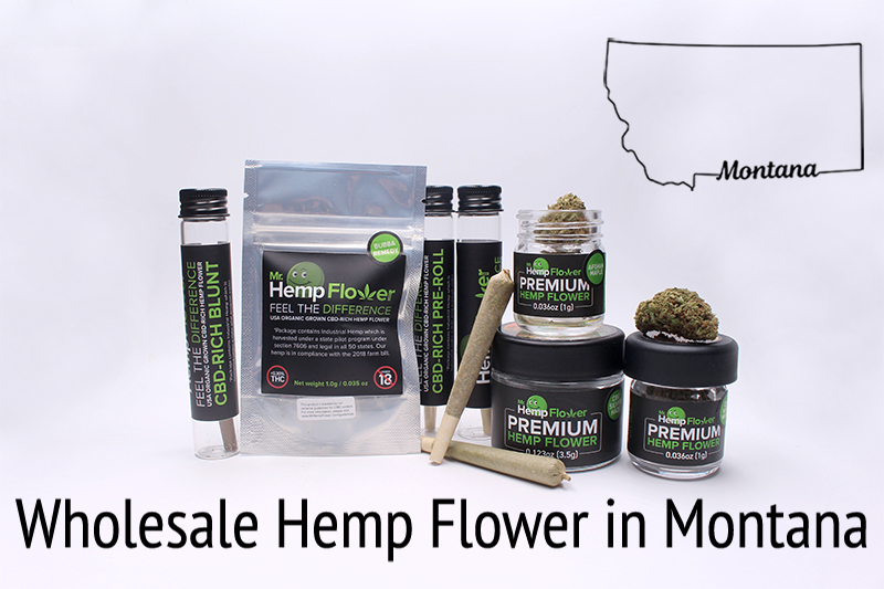 Wholesale Hemp Flower in Montana
