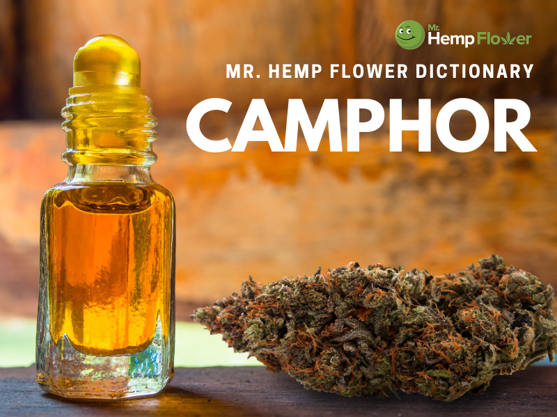 Camphor