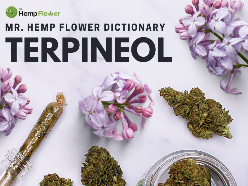Terpineol