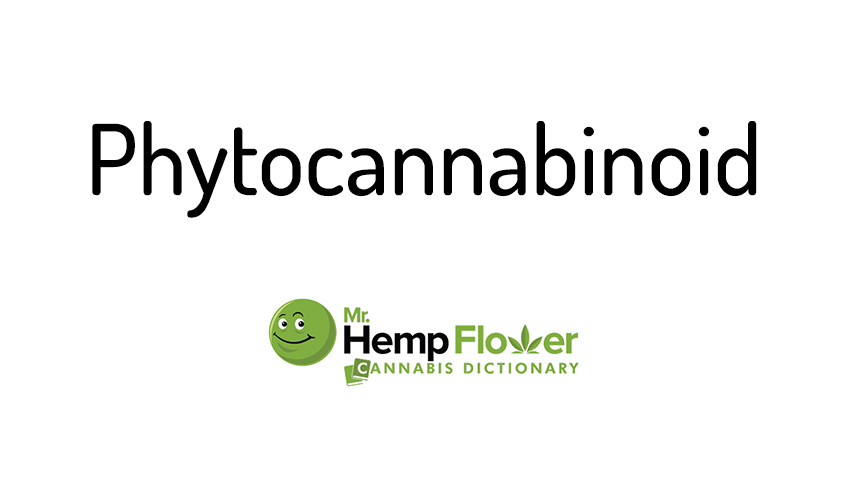 Phytocannabinoid What are they exactly? Does they get you high?