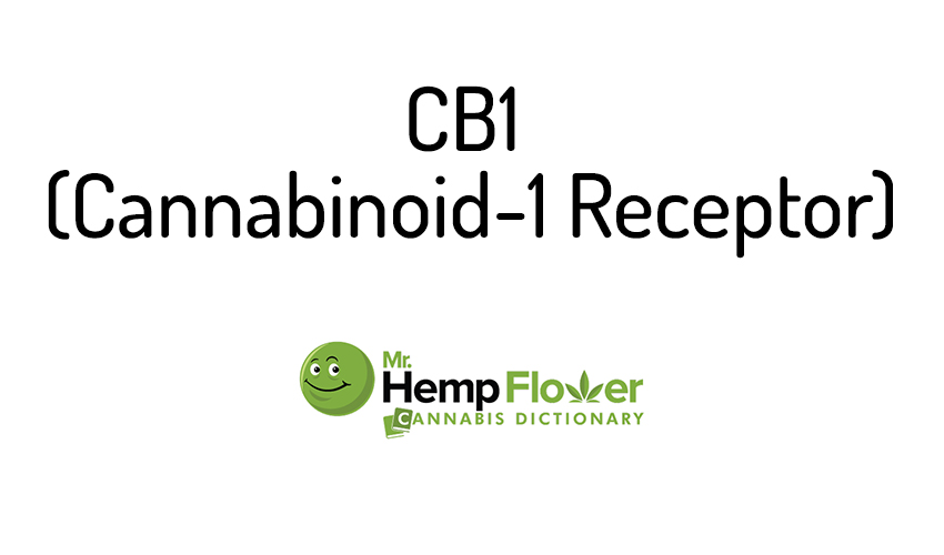 CB1
