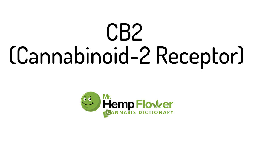 cb2