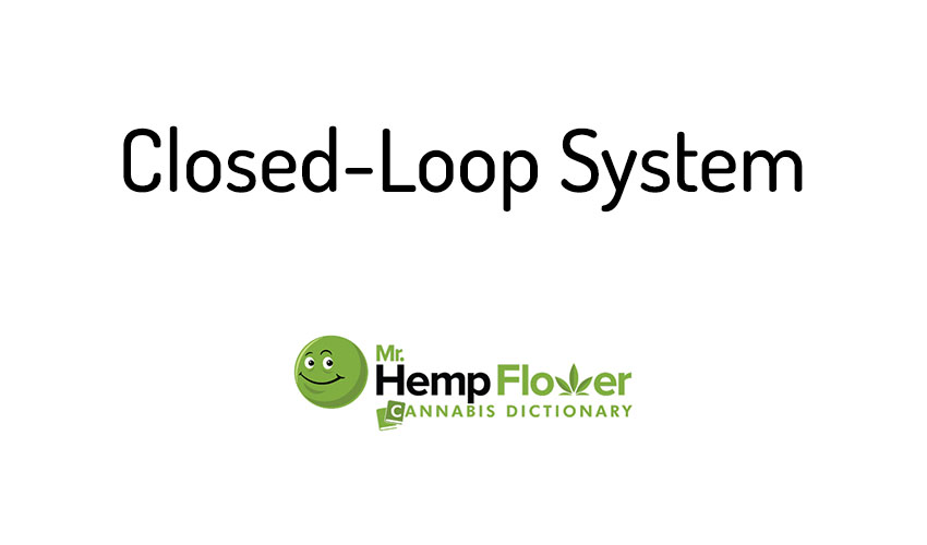 Closed-Loop System