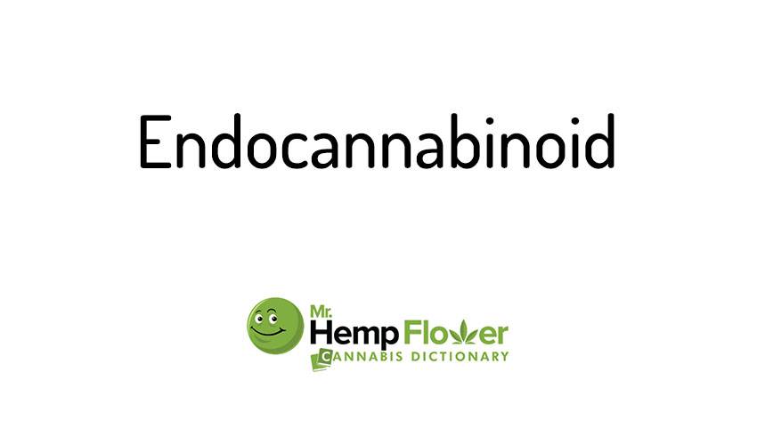 Endocannabinoid