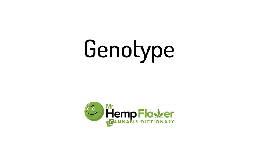 Genotype