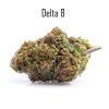 Golden Kush Delta THC 8