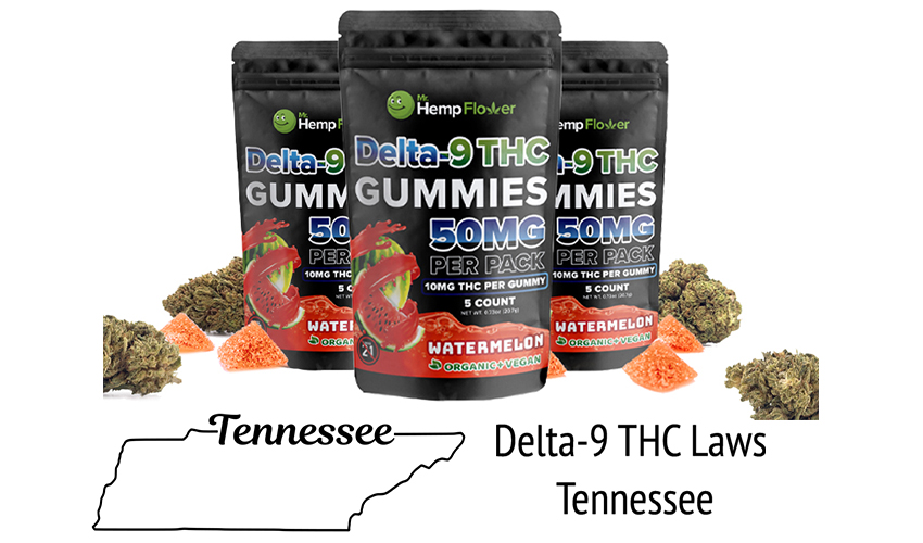 Can You Buy Premium Hemp Delta 9 THC Gummies in Tennessee