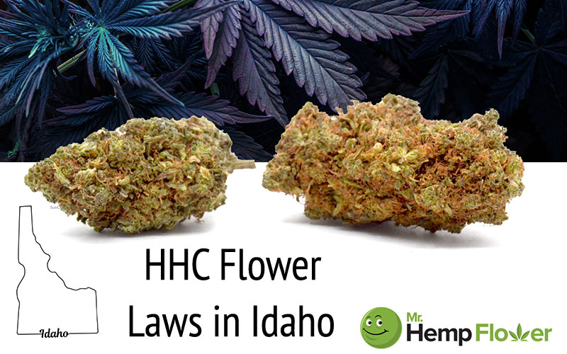 HHC Flower In Idaho