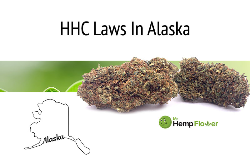 HHC Flower in Alaska