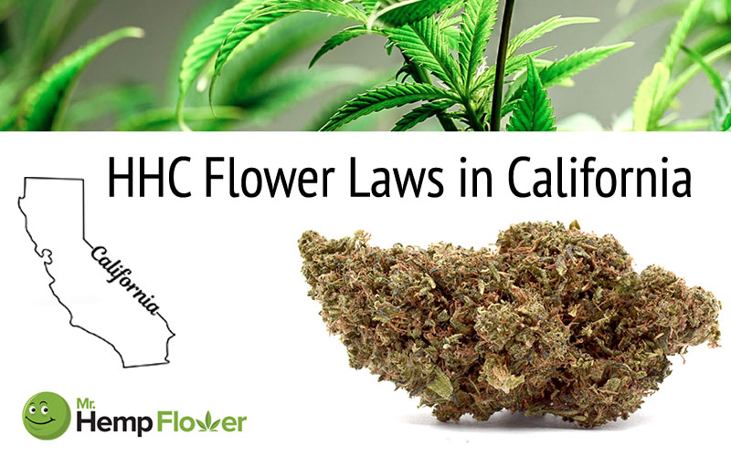 HHC Flower in California