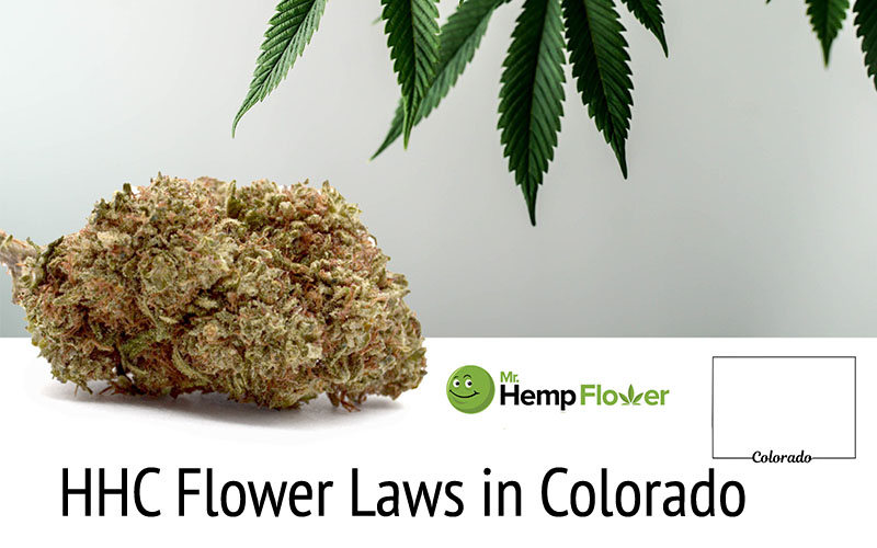 HHC Flower in Colorado