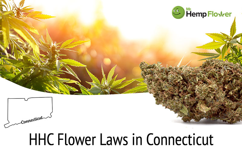 HHC Flower in Connecticut