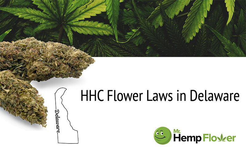 HHC Flower in Delaware